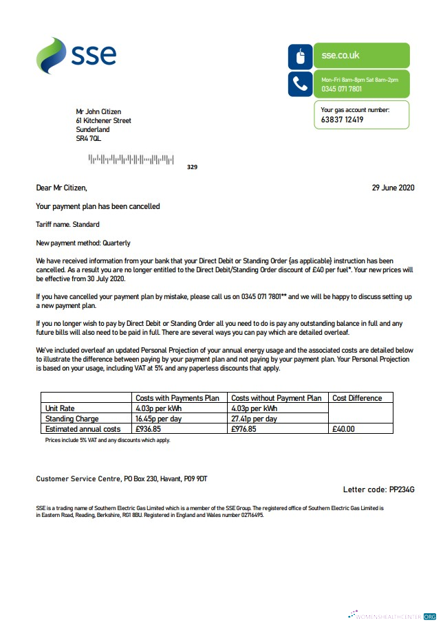 download United Kingdom SSE Energy utility bill template in Word and PDF format, version 1 PDF template